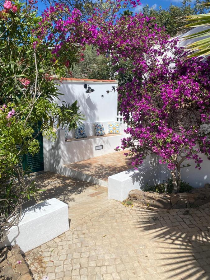 Country Guest House With Pool Tavira Zewnętrze zdjęcie
